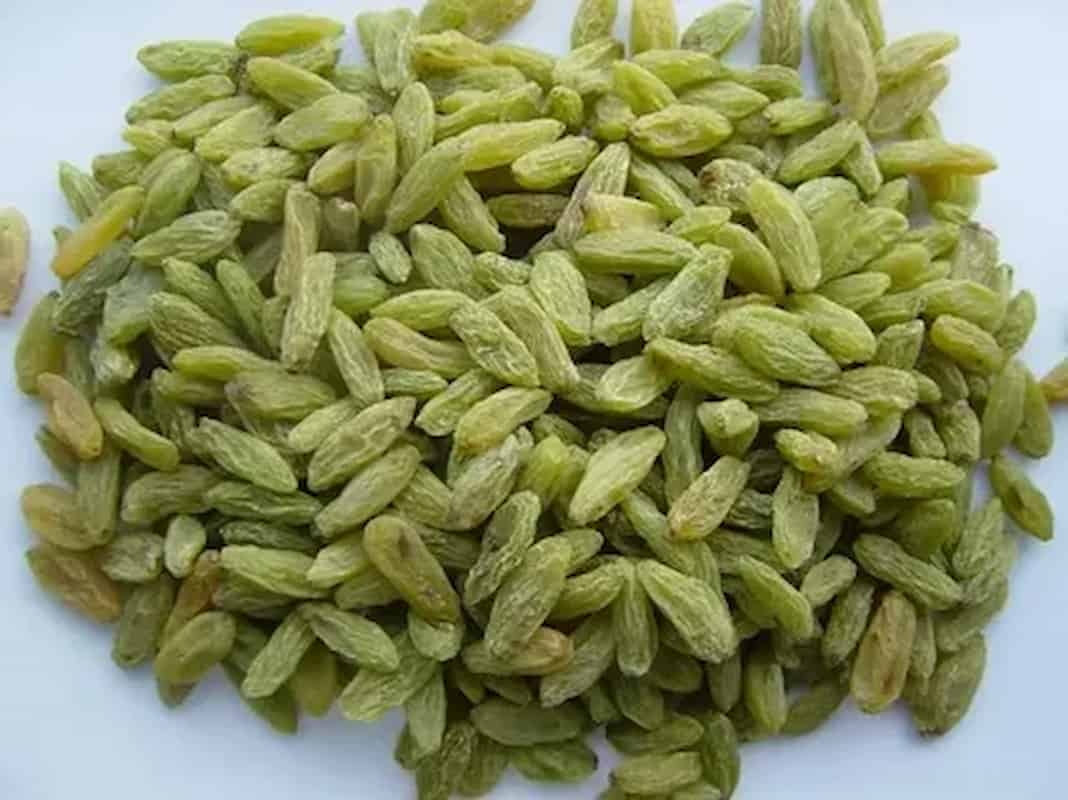 کشمش سبز قلمی خلیل آباد محصولی مرغوب و دانه درشت